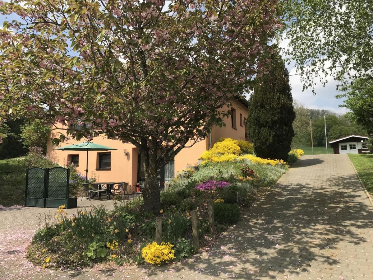 Holiday Home In Olsdorf Bettingen Exterior photo