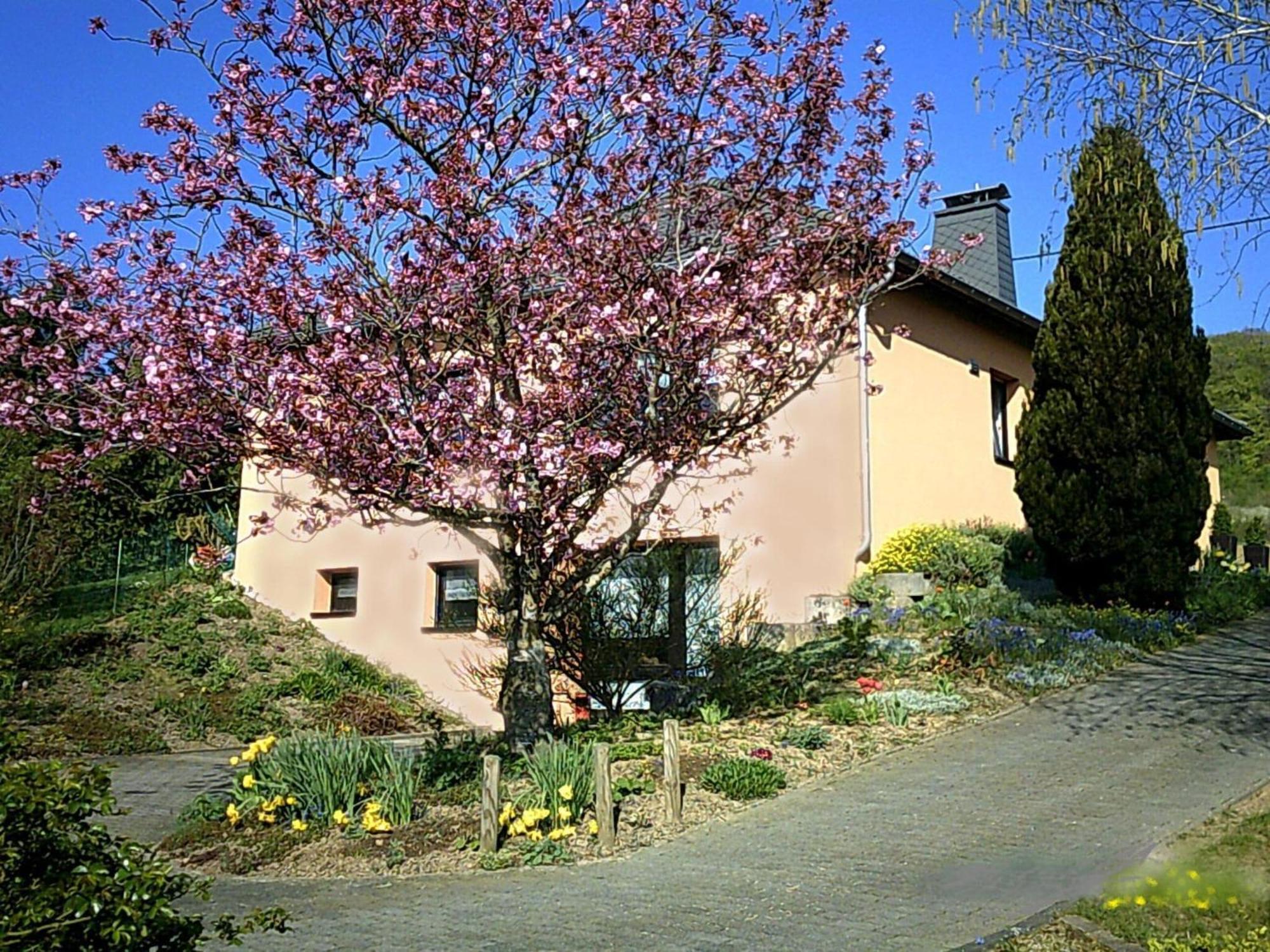 Holiday Home In Olsdorf Bettingen Exterior photo
