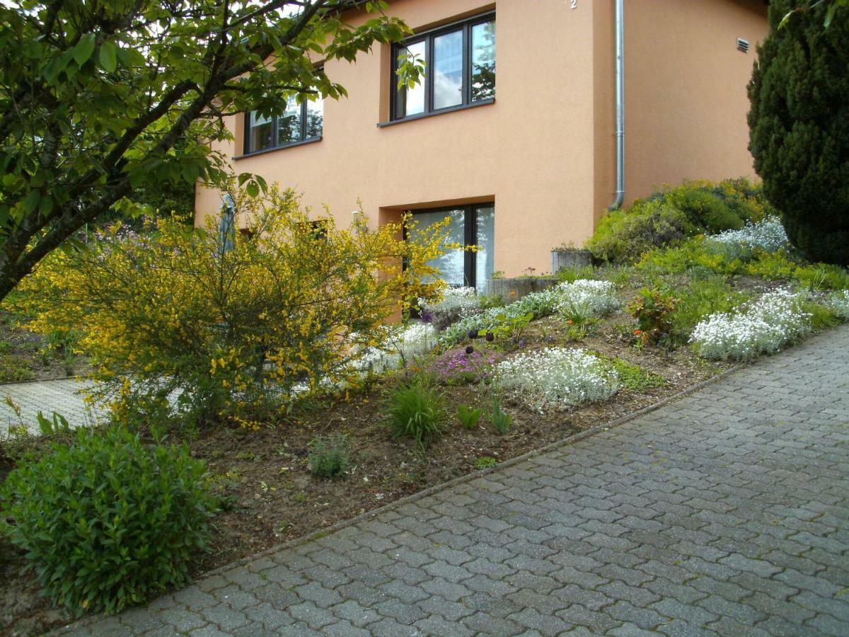Holiday Home In Olsdorf Bettingen Exterior photo
